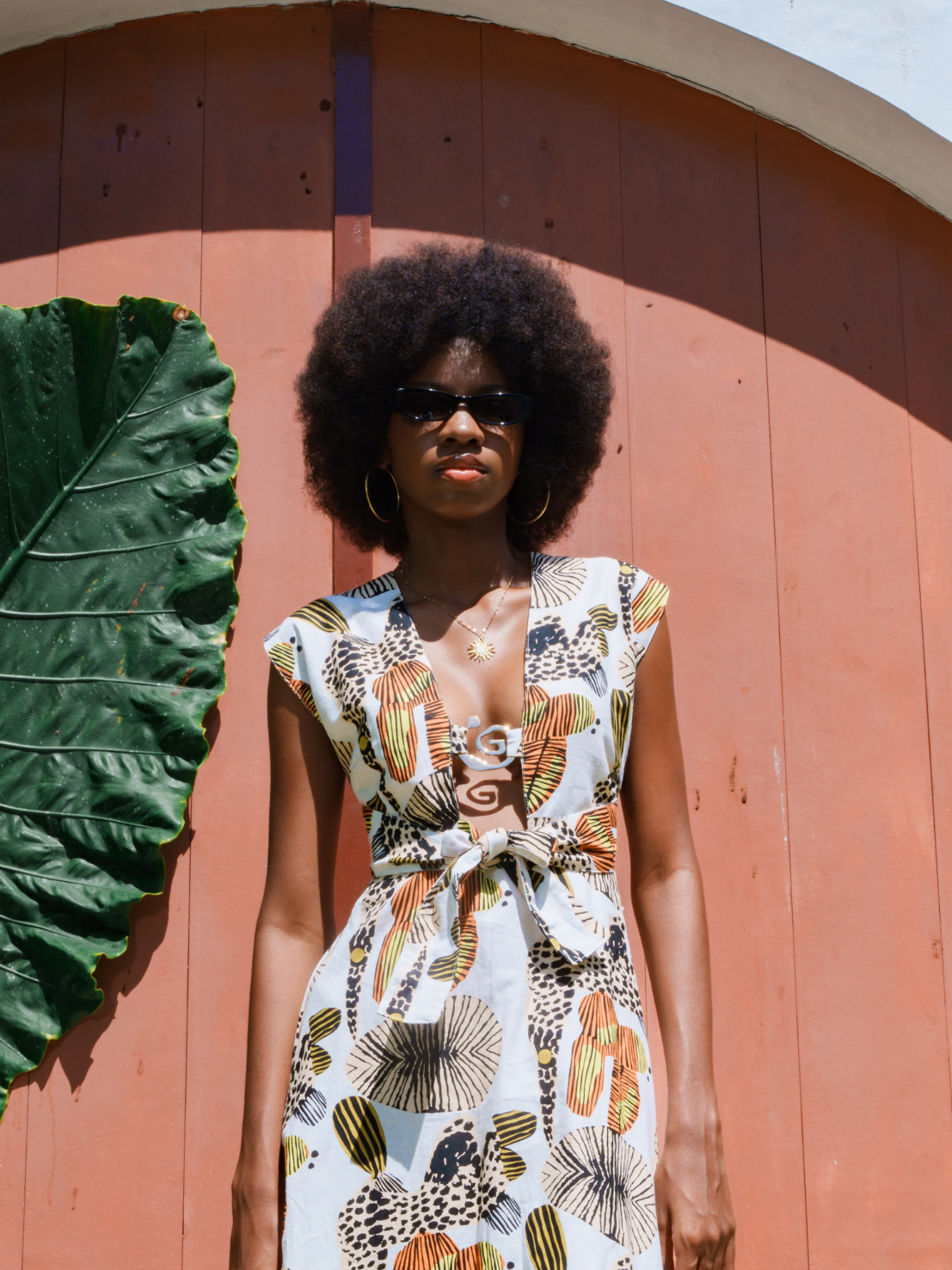 Leopard Nomad - Aerie Maxi Dress